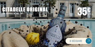 MEGA MENU FR GIN CITADELLE ORIGINAL 44.png
